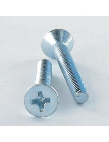 1 x Metalen schroeven gefreesde kop phillips...