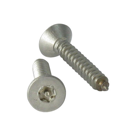 1 x Metaalplaatschroef Onbreekbaar RVS A2 gefreesde kop TORX T15 met pen 3,5X13