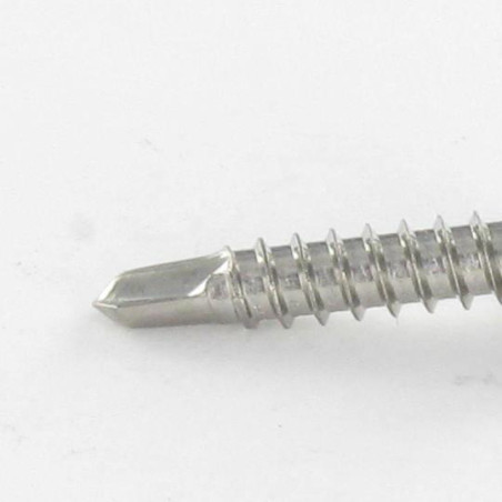 1 x Zelfborende schroef bol cilinderkop TORX T15 3.9X13 RVS A2