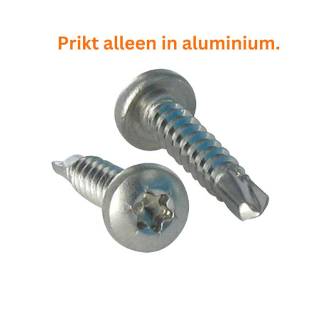 1 x Zelfborende schroef bol cilinderkop TORX T15 3.9X13 RVS A2