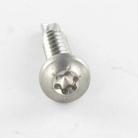 1 x Zelfborende schroef bol cilinderkop TORX T20 4.2X25 TORX T20 RVS A2