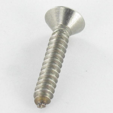 1 x Metaalplaatschroef Onbreekbaar RVS A2 gefreesde kop TORX T25 met pen 4.8X50