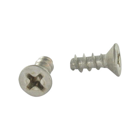 1 x PVC-schroeven gefreesde kop phillips 4X10 Draadstang 40 RANG RVS A2