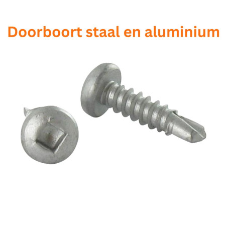 1 x Zelfborende schroef cilindrische kop vierkant 4.2X16 RVS AISI 410