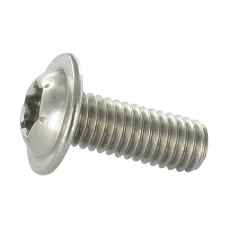 1 x Metalen schroeven bolkop kraagflens TORX T30 M6X8 volledige draad RVS A2