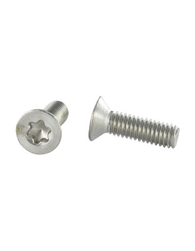 1 x Metalen schroeven gefreesde kop TORX T20...