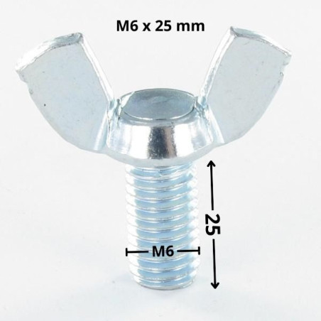 1 x Schroeven oren M6X25 amerikaanse vorm Wit verzinkt staal