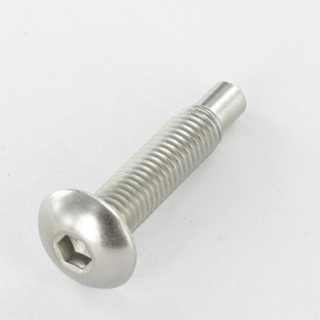 1 x Metalen schroeven Bolkop breed rond zeshoekig hol RVS A2 M8X40 uiteinde 6X9 sleutel van 5