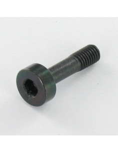 Metalen schroeven RVS A2 PASSIEF Zwart sleutel van 4 CHC...