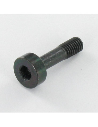 1 x Metalen schroeven RVS A2 PASSIEF Zwart...
