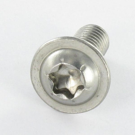 1 x Metalen schroeven bolkop kraagflens TORX T25 M5X20 volledige draad RVS A2
