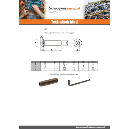 1 x Metalen schroeven Onbreekbaar Zeshoekig hol met pen M4X8 RVS A2