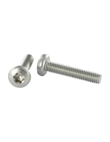 1 x Metalen schroeven bolvormige kopschroef...