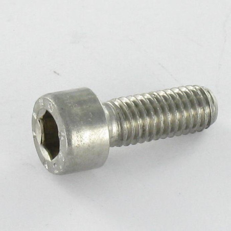 1 x Metalen schroeven RVS A2 CHC BTR sleutel van 4 M5X20 volledige draad