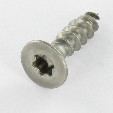 1 x Agglo houtschroeven RVS A2 gefreesde kop 6X180 TORX T25