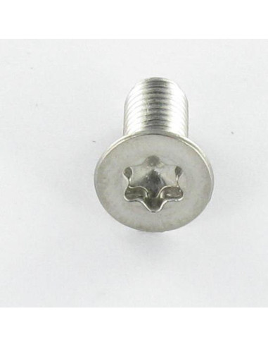 1 x Metalen schroeven gefreesde kop TORX T10...