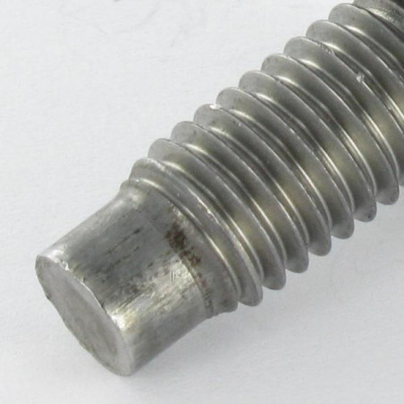1 x Schroeven om te lassen M6X50 3 NICOTS Wit verzinkt staal