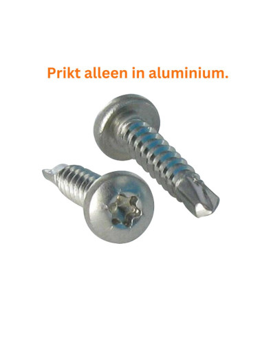 1 x Zelfborende schroef bol cilinderkop TORX...