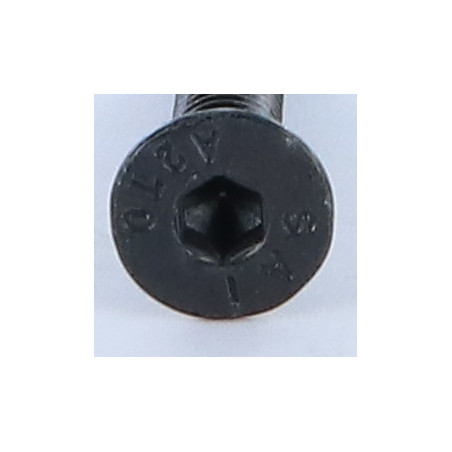 1 x Metalen schroeven RVS A2 FHC verzonken kop met zeskant print sleutel van 4 M6X30 Zwart volledige draad