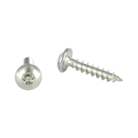 1 x Schroeven scharnier Onbreekbaar TORX T30 met pen 6X30 RVS A2