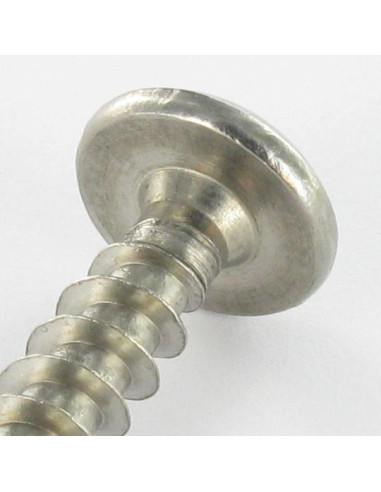 1 x Schroeven scharnier Onbreekbaar TORX T30...