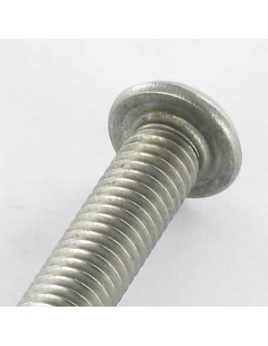 1 x Metalen schroeven Onbreekbaar Zeshoekig hol...