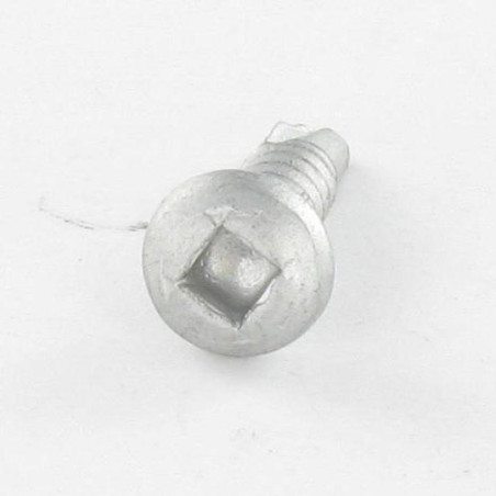 1 x Zelfborende schroef cilindrische kop vierkant 4.8X25 RVS AISI 410