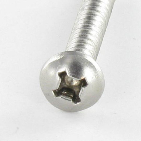 1 x Zelfborende schroef cilindrische kop Phillips vierkant 4.8X50 SQ2+PH2 RVS A2