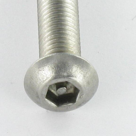 1 x Metalen schroeven Onbreekbaar Zeshoekig hol met pen M8X40 RVS A2