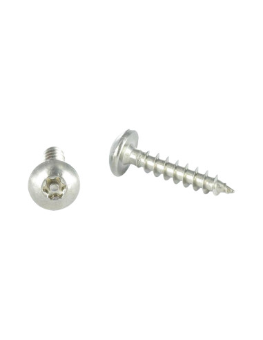 1 x Schroeven scharnier Onbreekbaar TORX T30...