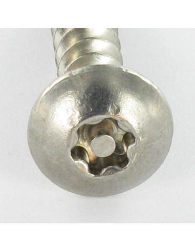 1 x Schroeven scharnier Onbreekbaar TORX T30...