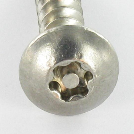 1 x Schroeven scharnier Onbreekbaar TORX T30 met pen 6X50 RVS A2