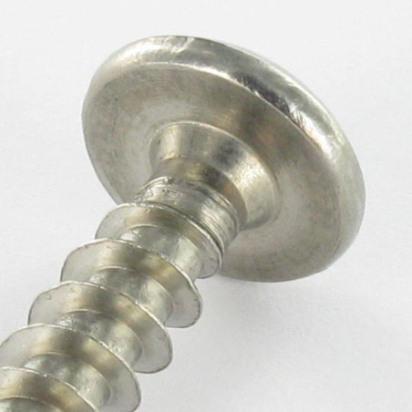 1 x Schroeven scharnier Onbreekbaar TORX T30 met pen 6X50 RVS A2