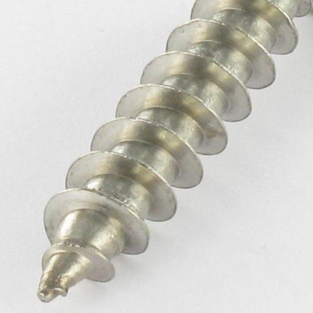 1 x Schroeven scharnier Onbreekbaar TORX T30 met pen 6X50 RVS A2
