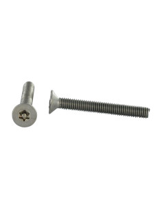 Metalen schroeven RVS A2 Onbreekbaar gefreesde kop TORX...