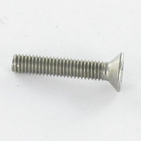 1 x Metalen schroeven RVS A2 Onbreekbaar gefreesde kop TORX T30 met pen M6X30