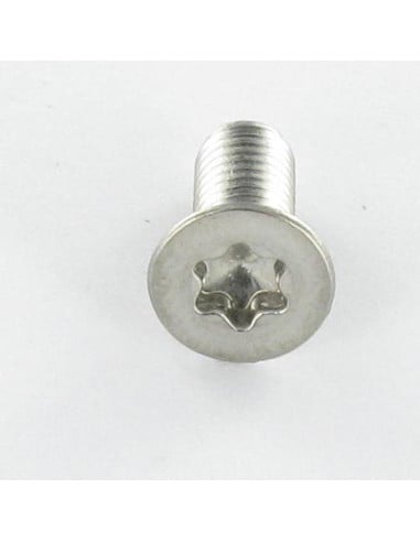 1 x Metalen schroeven gefreesde kop TORX T25...