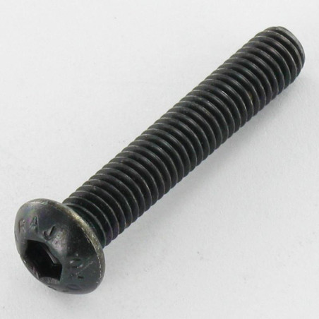 1 x Metalen schroeven RVS A2 Zwart Zeshoekig hol M8X20 volledige draad sleutel van 5