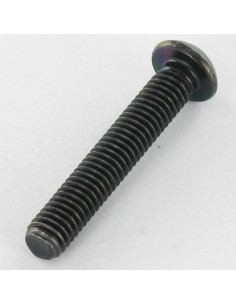 Metalen schroeven RVS A2 Zwart Zeshoekig hol M8X20... 2