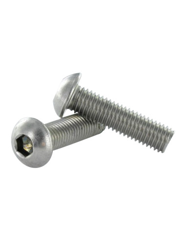 1 x Metalen schroeven RVS A2 Zeshoekig hol...