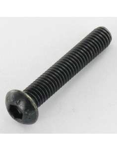 Metalen schroeven RVS A2 Zwart Zeshoekig hol M4X20...