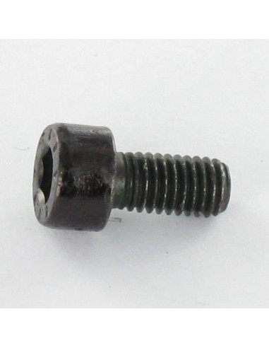 1 x Metalen schroeven RVS A2 Zwart CHC BTR...