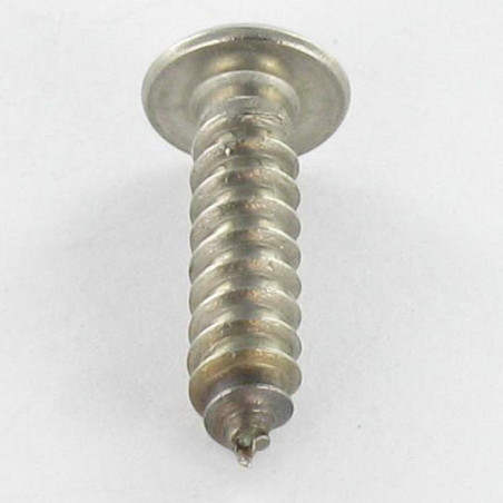 1 x Metaalplaatschroef Onbreekbaar RVS A2 cilindrische kop TORX T15 met pen 4.2X38