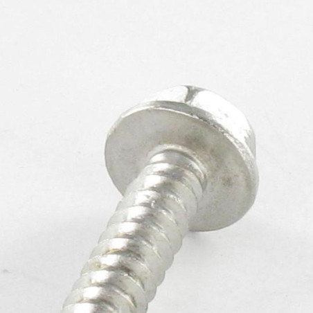 1 x Zelfborende schroef zeskantkop TH 4.8X38 RVS A2