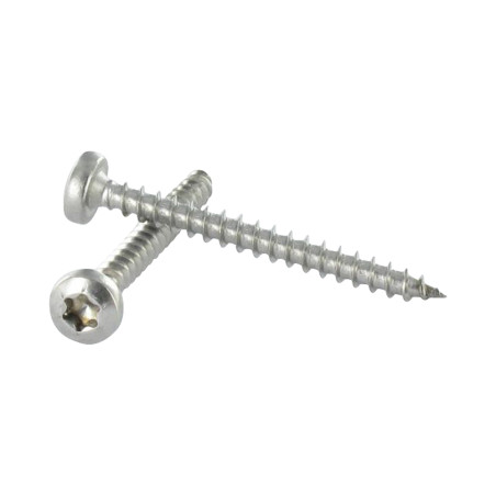 1 x Agglo houtschroeven RVS A2 ronde kop 4X45 TORX T20