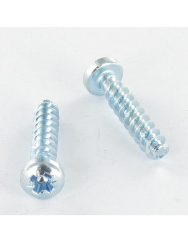 1 x PVC-schroeven bol cilinderkop Pozi PZ6...