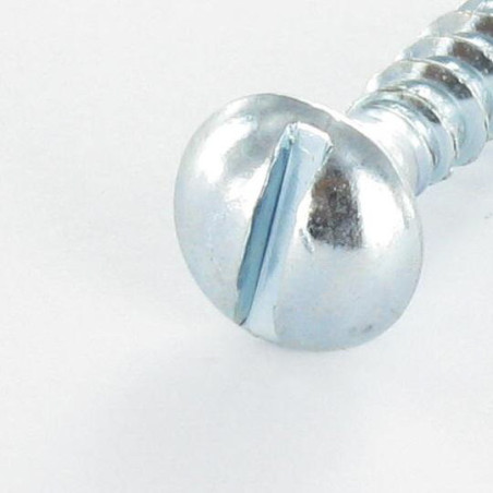 1 x Houtschroeven ronde kop split 3,5X16 Wit verzinkt staal