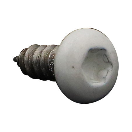1 x Metaalplaatschroef bolvormige kopschroef 4.2X13 RVS A2 TORX T20 RAL9010 zuiver wit