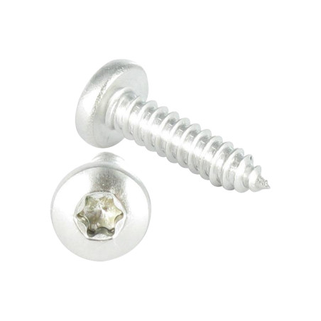 1 x Metaalplaatschroef bolvormige kopschroef 5,5X50 RVS A2 TORX T25