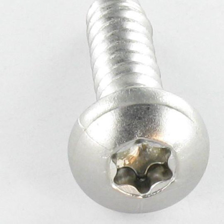 1 x Metaalplaatschroef bolvormige kopschroef 4.8X25 RVS A2 TORX T25